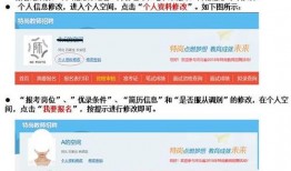 吴川最新爆料网招聘司机,网招司机，开启全新职业征程！