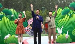 深圳小萍最近爆料新闻视频,最新视频揭露惊人内幕